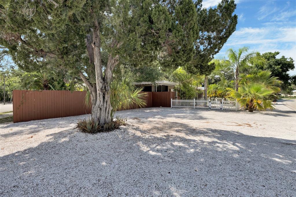 A gravel driveway leads to a house partially obscured by a large tree and fences — 1415 S SCHOOL AVENUE, SARASOTA, FL