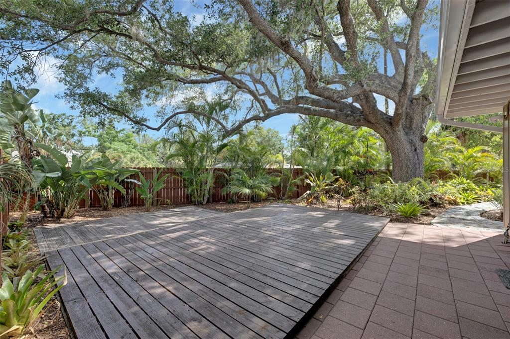 A backyard features a wooden deck, a paved patio, and a large tree near a fence — 1415 S SCHOOL AVENUE, SARASOTA, FL