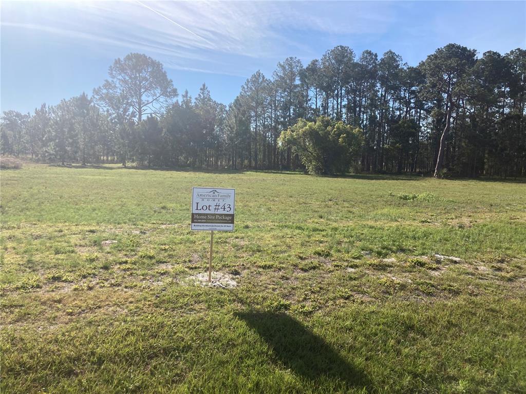 38518 WOODED MEADOW DRIVE
