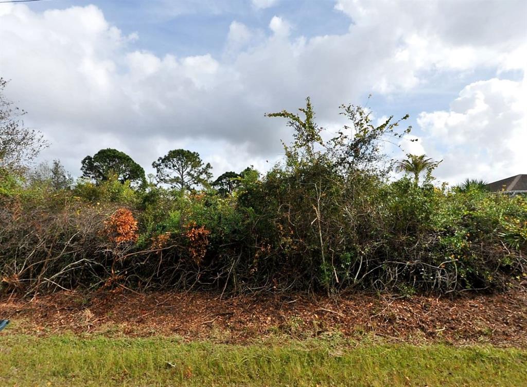 A dense, overgrown lot filled with thick brush and scattered trees under a cloudy sky — CORDOVA TERRACE, NORTH PORT, FL
