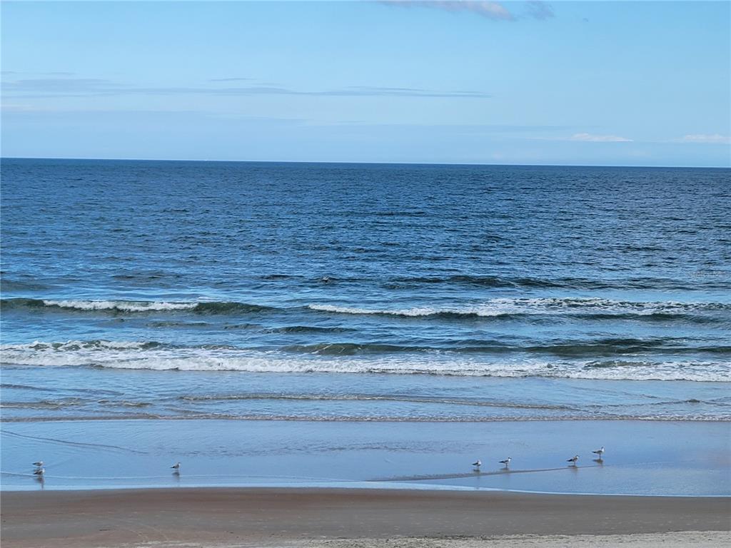 A view of the ocean with waves washing onto a sandy beach with several birds — 2301 S ATLANTIC AVENUE UNIT 238, DAYTONA BEACH, FL