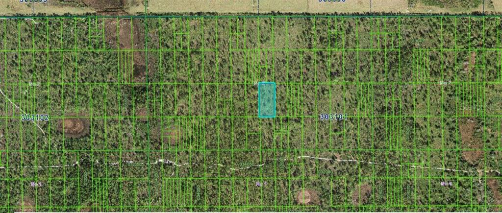 This aerial map shows a rectangular property parcel highlighted in blue within a wooded area — SHADY OAKS DR, LAKE WALES, FL