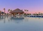 A thatched-roof tiki hut sits in the center of a large, calm swimming pool — 31 HORIZON ROAD, PUNTA GORDA, FL