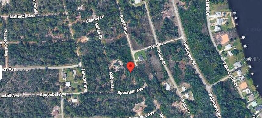 This is a satellite map view showing a vacant lot marked with a red pin — 1030 REDBIRD STREET, LAKE PLACID, FL