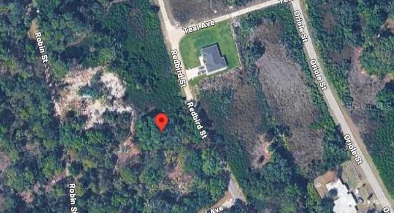 This is an aerial map showing a wooded lot marked with a red pin — 1030 REDBIRD STREET, LAKE PLACID, FL