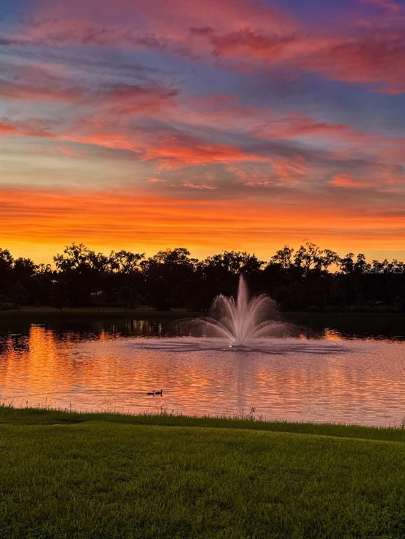 A water fountain sits in a lake at sunset with a grassy foreground and trees — 2922 ROCK SOUND STREET, BRADENTON, FL