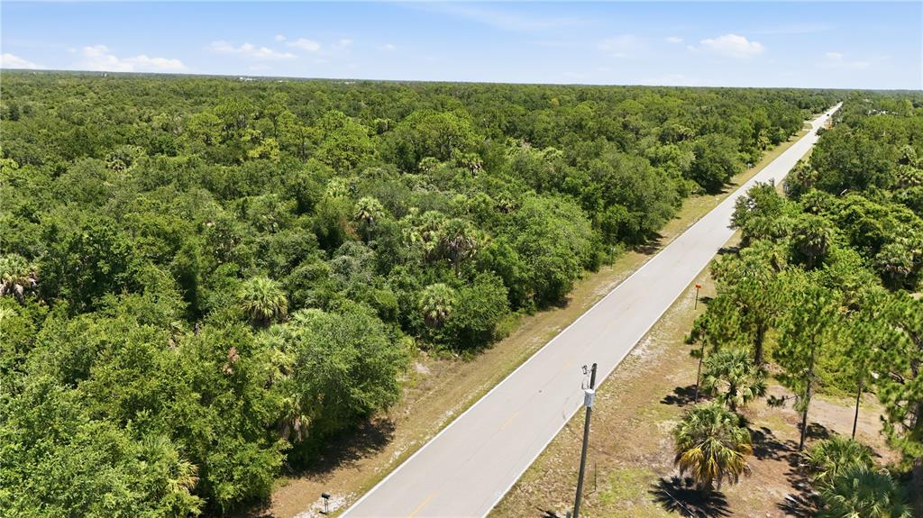 An aerial view shows a paved road running through a dense, wooded area — 3139 COMO STREET, PORT CHARLOTTE, FL