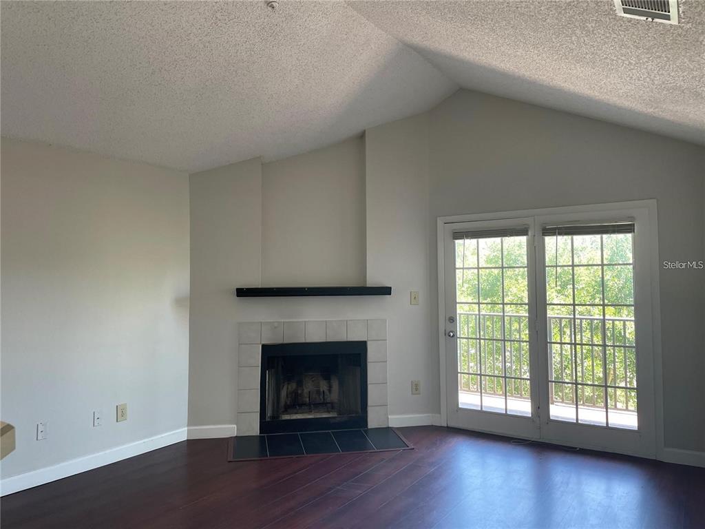 A living room features a fireplace with a black mantel, dark wood floors, and glass doors — 216 AFTON SQUARE UNIT 309, ALTAMONTE SPRINGS, FL
