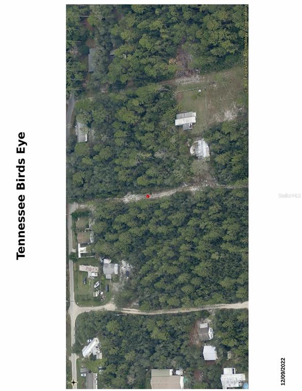 This aerial map view shows a wooded residential lot with a red marker — TENNESSEE STREET, PAISLEY, FL