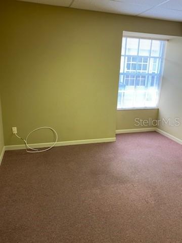 An empty room with tan walls, pink carpet, and a window with white blinds — 1531 TAMIAMI TRAIL S UNIT 8A-8T, VENICE, FL