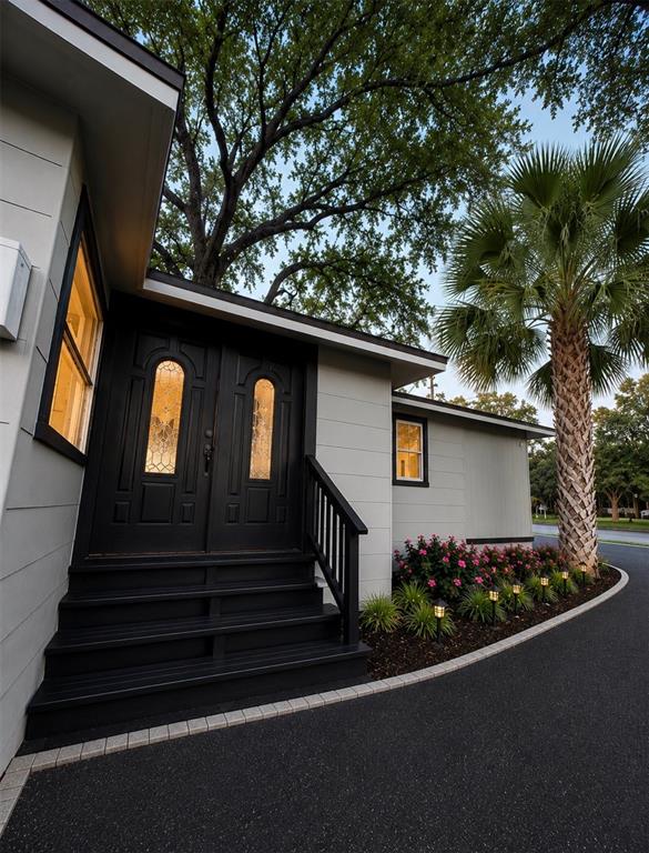A modern house exterior features black double doors, steps, and a palm tree in the yard — 1221 E DR MARTIN LUTHER KING JR BOULEVARD, TAMPA, FL