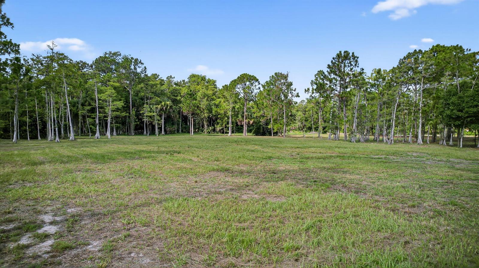 A large, grassy, undeveloped lot is bordered by a dense line of tall pine trees — 2795 Doe Trail, Loxahatchee FL 33470, LOXAHATCHEE, FL