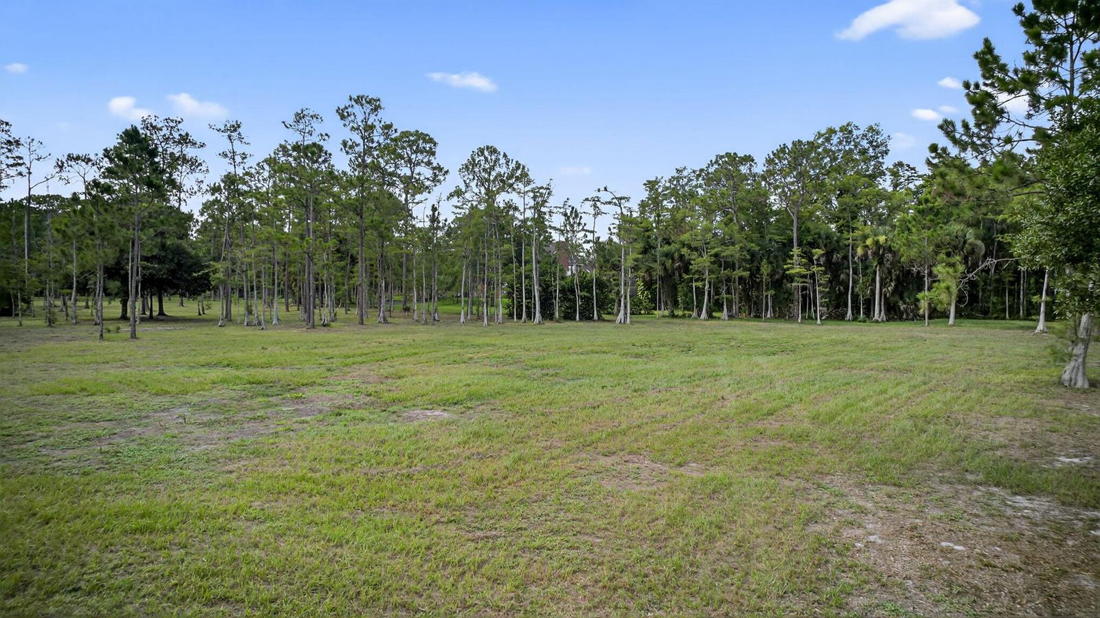 A large, grassy, undeveloped lot is bordered by a dense line of tall pine trees — 2795 Doe Trail, Loxahatchee FL 33470, LOXAHATCHEE, FL