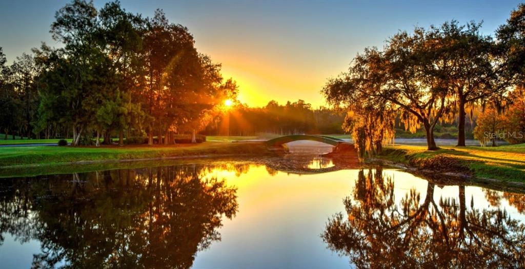 A scenic view of a pond with a small bridge at sunset surrounded by trees — 1602 SANDHILL COURT, PALM HARBOR, FL