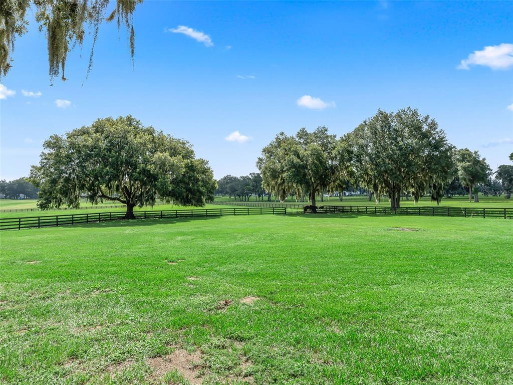 A large, grassy pasture features several mature oak trees and a black wooden fence — 15351 SE 57TH TERRACE, SUMMERFIELD, FL
