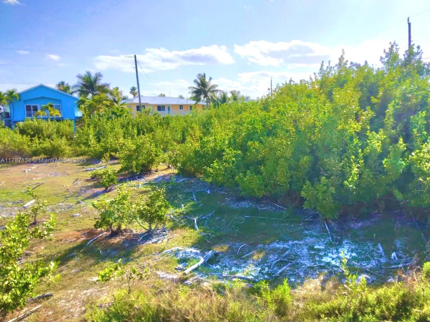 A vacant, grassy lot with scattered brush and trees sits in front of two houses — 0 Santa Barbara, Marathon FL 33050, MARATHON, FL
