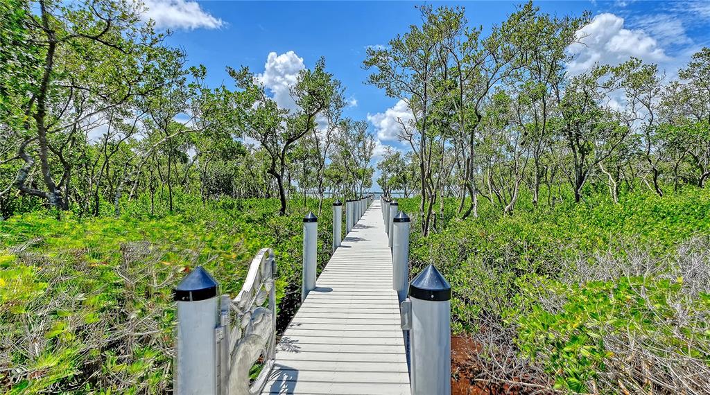 A wooden boardwalk stretches through a dense mangrove forest under a bright blue sky — 180 HORSESHOE LOOP ROAD, TERRA CEIA, FL