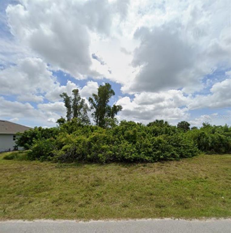 A grassy lot features a dense cluster of green shrubs and tall trees — 172 SPRING DRIVE, ROTONDA WEST, FL