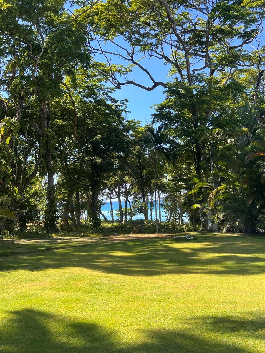 A grassy lawn leads toward a view of the ocean framed by lush tropical trees — 123456 Sea Horse Ranch Community, FL