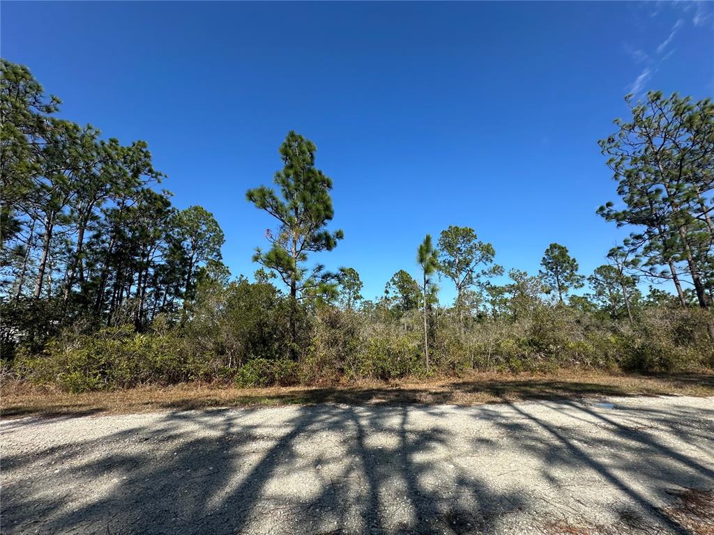 A gravel road sits in front of a wooded lot with pine trees and brush — 22 BOUGAINVILLE DRIVE, INDIAN LAKE ESTATES, FL
