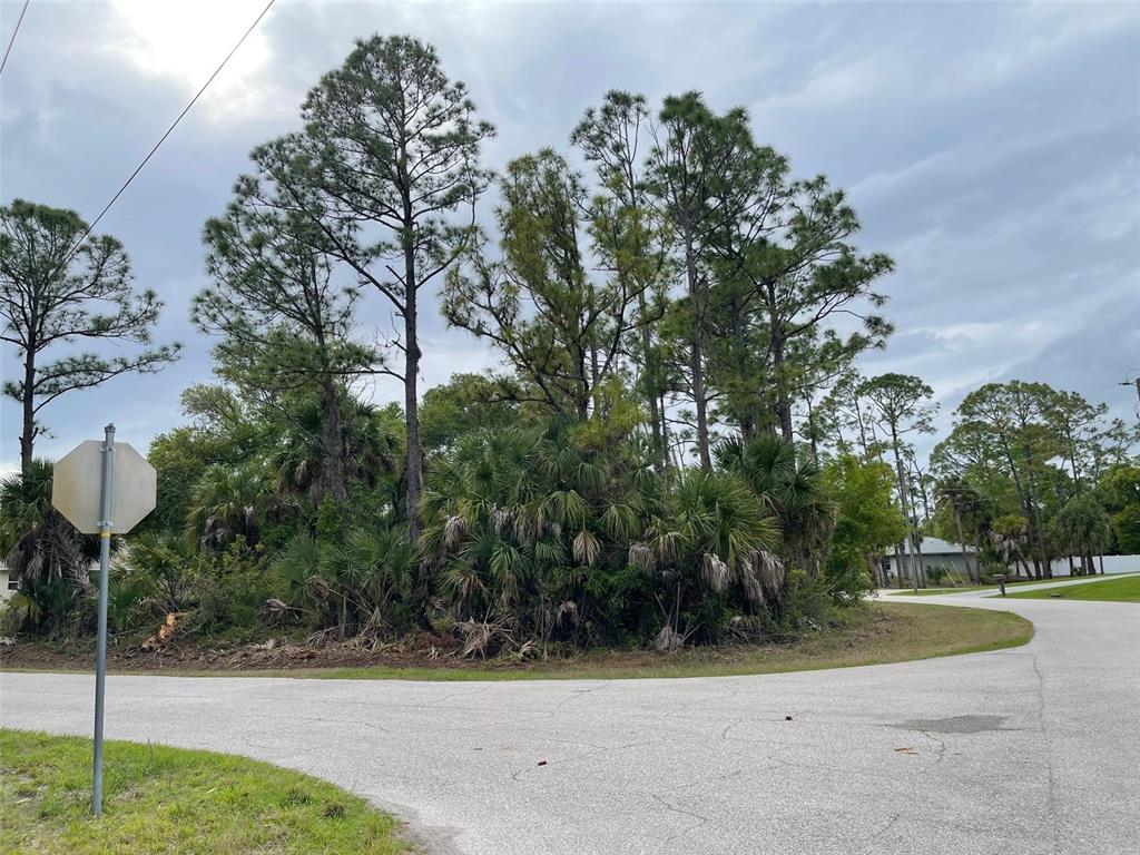 Lot 15 ANANAS ROAD