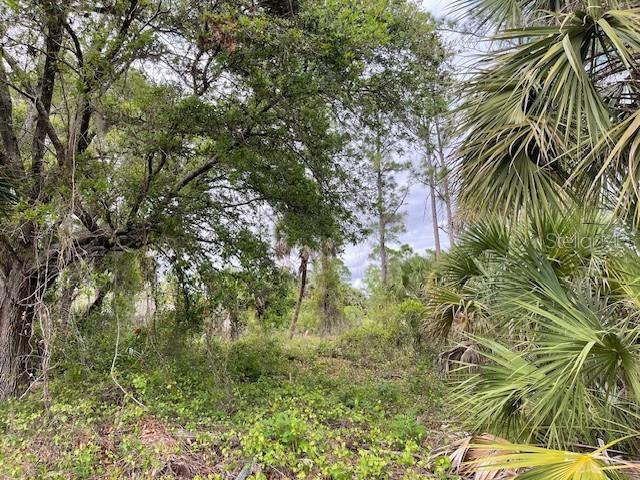 A wooded lot with dense vegetation, various trees, and several palmetto plants — Lot 15 ANANAS ROAD, NORTH PORT, FL
