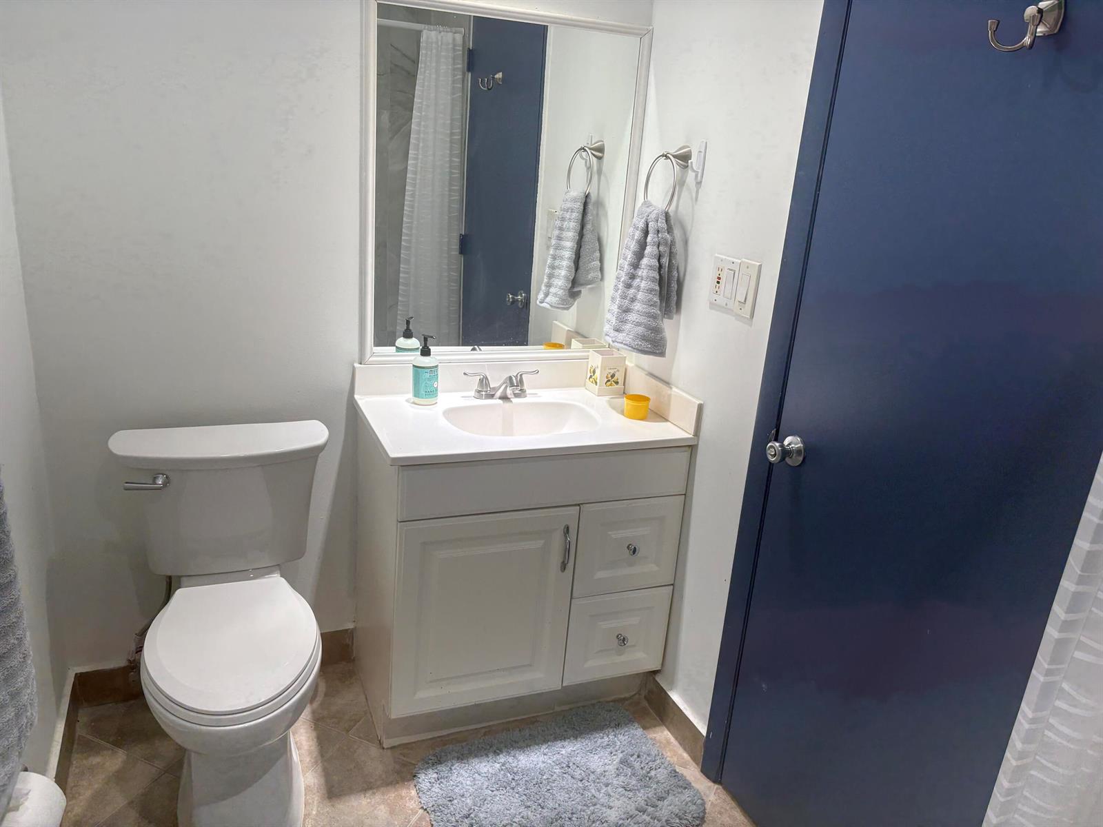 A small bathroom features a white vanity, a toilet, and a blue door — 10132 Windtree Lane, Boca Raton FL 33428, BOCA RATON, FL