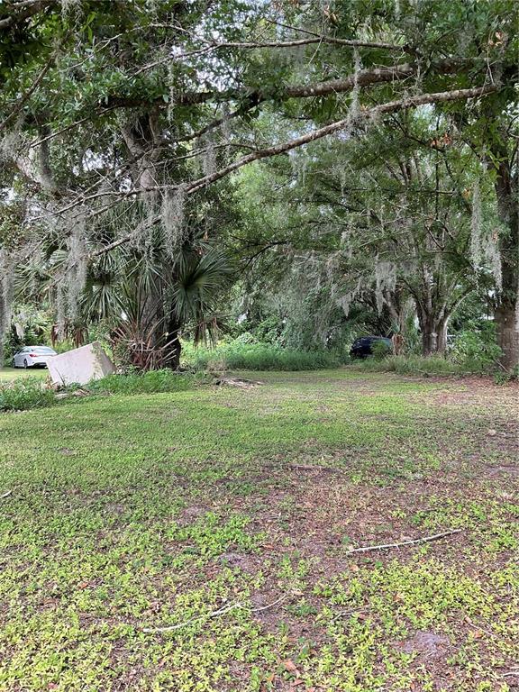 A grassy, wooded lot features large trees draped with Spanish moss and two parked cars — 3406 HOLLOWAY ROAD, PLANT CITY, FL
