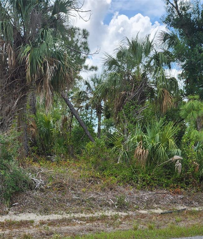 A wooded, undeveloped lot features several palm trees and dense undergrowth under a cloudy sky — MCGINNIS TERRACE, NORTH PORT, FL