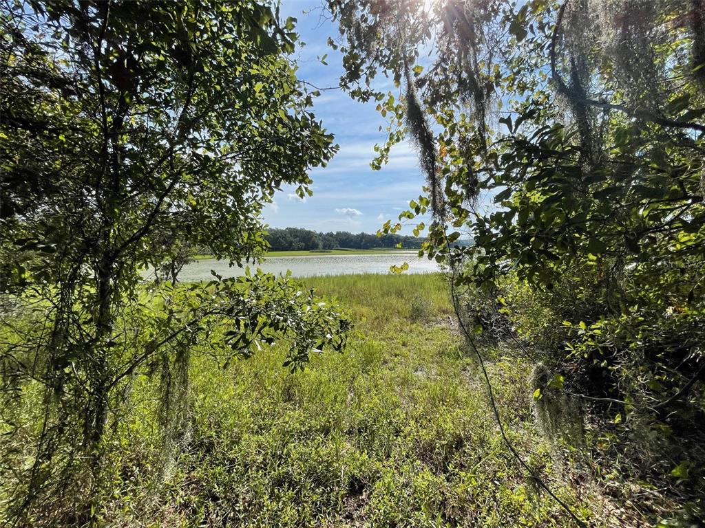 A view of a lake framed by trees and tall grasses under a sunny sky — LOTS 15 & 16 SW SHOREWOOD DRIVE, DUNNELLON, FL