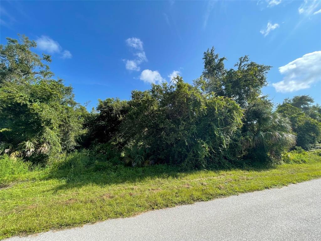 A paved road runs alongside a densely wooded, undeveloped lot under a clear blue sky — 16432 ASPEN AVENUE, PORT CHARLOTTE, FL