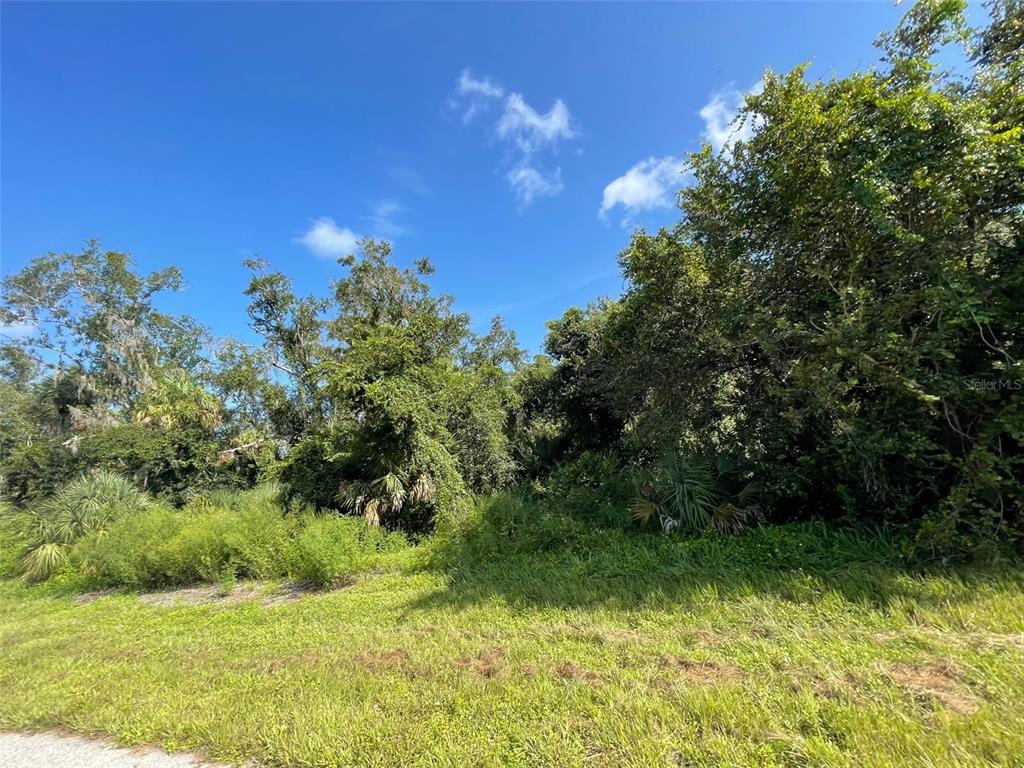 A grassy lot with dense trees and vegetation under a blue sky — 16432 ASPEN AVENUE, PORT CHARLOTTE, FL