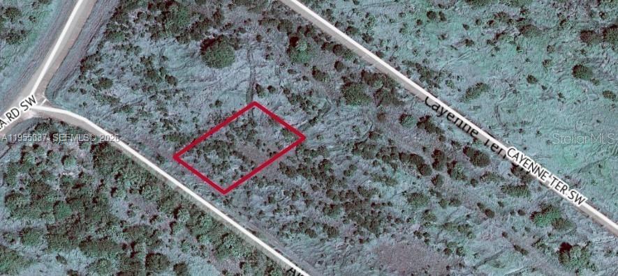 985 AKUND TER SW, Palm Bay FL 32908