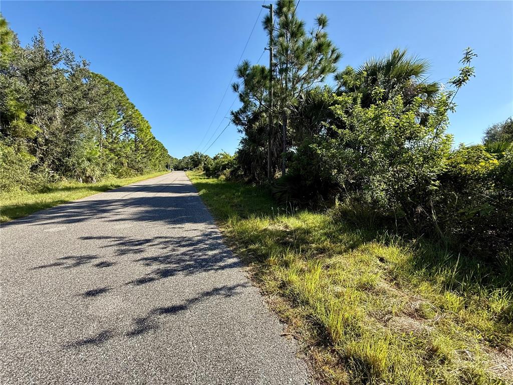 A paved road stretches into the distance bordered by dense trees and grassy vegetation — EMBASSY ROAD, NORTH PORT, FL