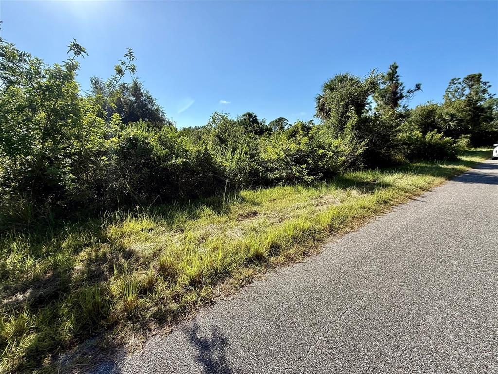 A paved road runs alongside a grassy, overgrown lot filled with dense trees and shrubs — EMBASSY ROAD, NORTH PORT, FL