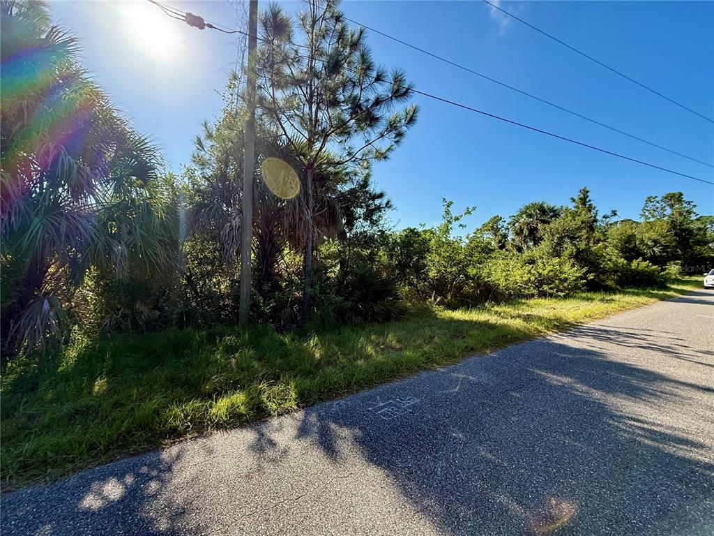 A paved road runs alongside a vacant, wooded lot under a bright, sunny sky — EMBASSY ROAD, NORTH PORT, FL