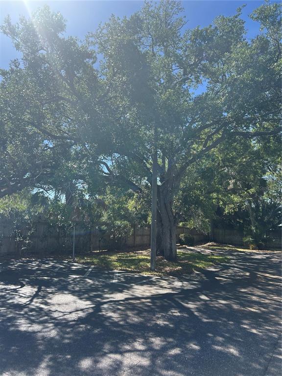A large oak tree stands in a paved parking lot next to a wooden fence — 383 S MCMULLEN BOOTH ROAD UNIT 68, CLEARWATER, FL