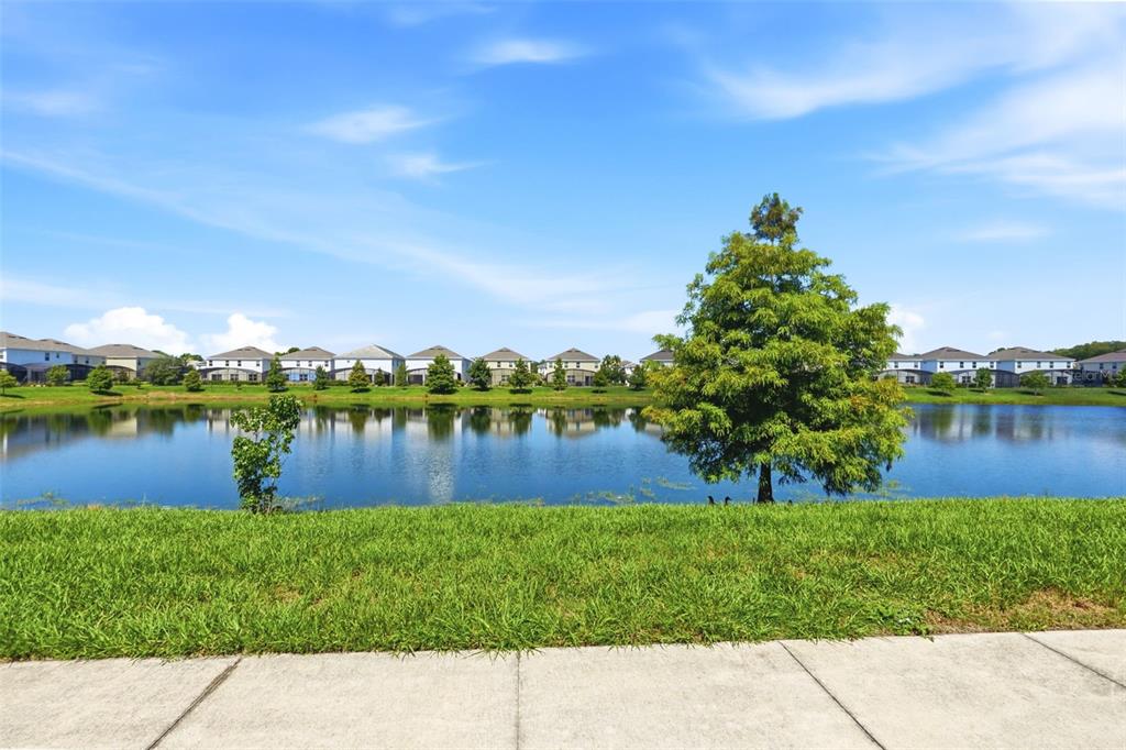 A view of a pond with a large tree and houses in the background — 4454 MONADO DRIVE, KISSIMMEE, FL