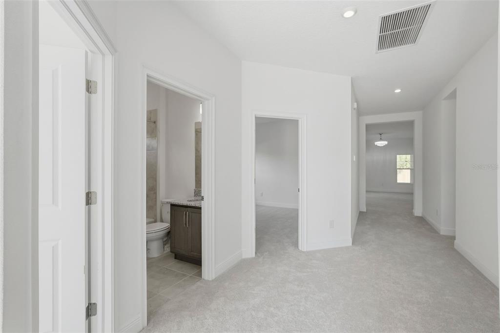 A hallway with gray carpet leads to a bathroom and two carpeted rooms — 3033 54TH AVENUE N, ST PETERSBURG, FL