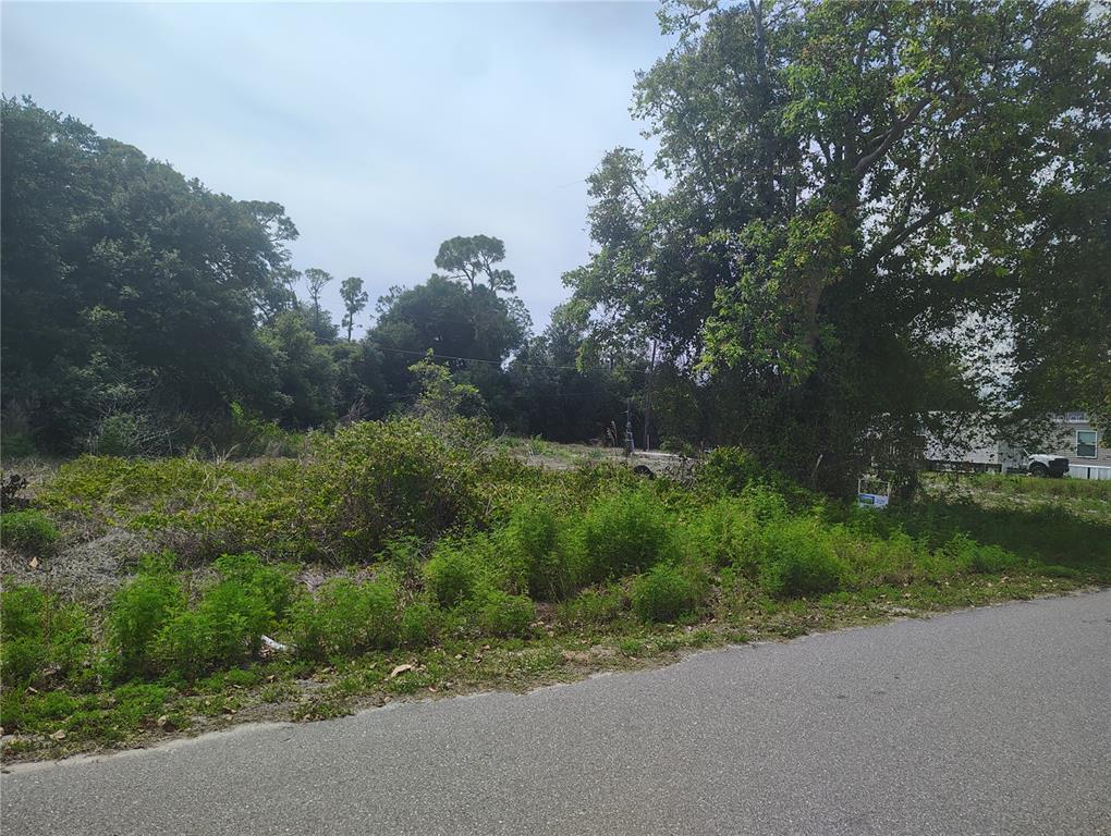 A vacant, overgrown lot sits beside a paved road with trees in the background — 9315 MANDY STREET, PUNTA GORDA, FL