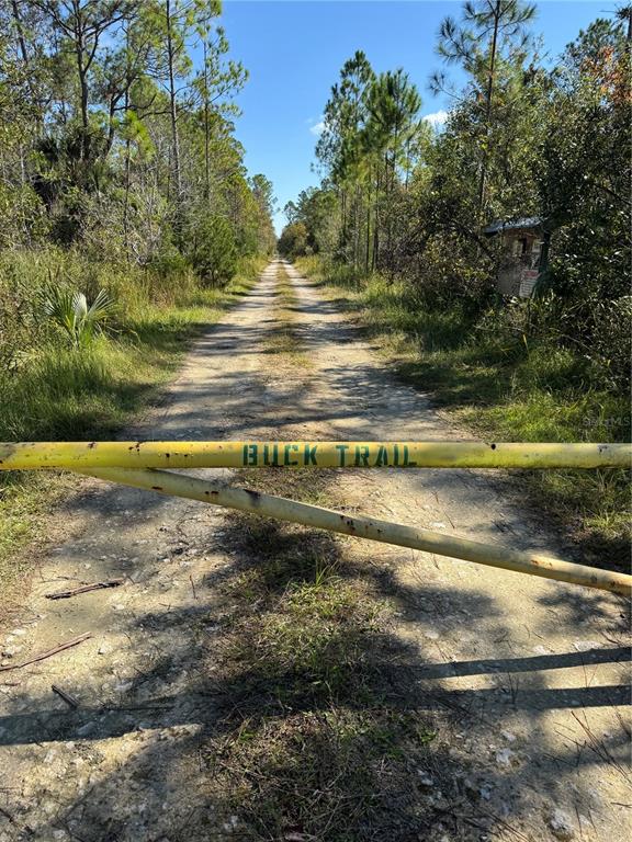 TBD QUAIL ROAD, CEDAR KEY, FL — photo 2 of 24