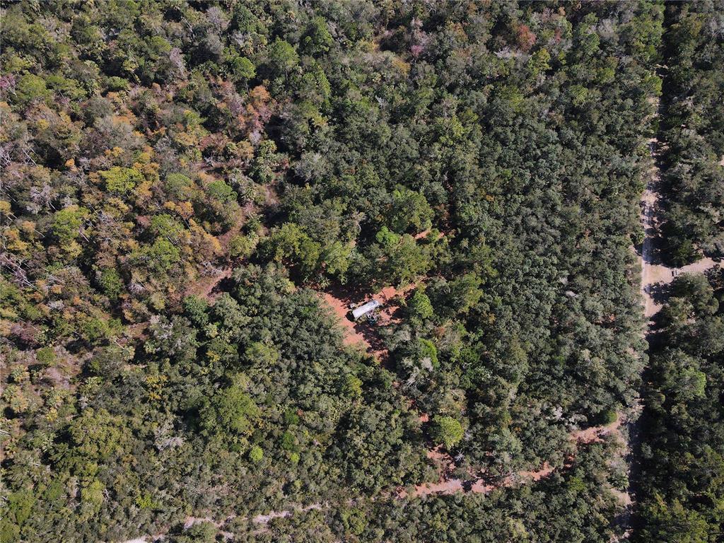 TBD QUAIL ROAD, CEDAR KEY, FL — photo 5 of 24