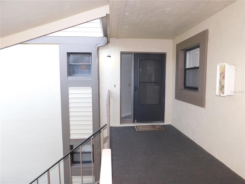 An exterior hallway features a dark front door, a gray carpeted floor, and a metal railing — 218 WOODLAKE WYNDE UNIT 218, OLDSMAR, FL