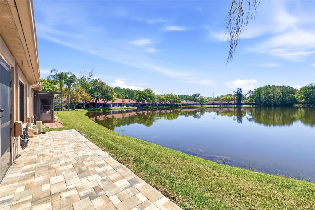 A paved patio overlooks a calm lake surrounded by trees and residential buildings — 3962 MERMOOR DRIVE, PALM HARBOR, FL
