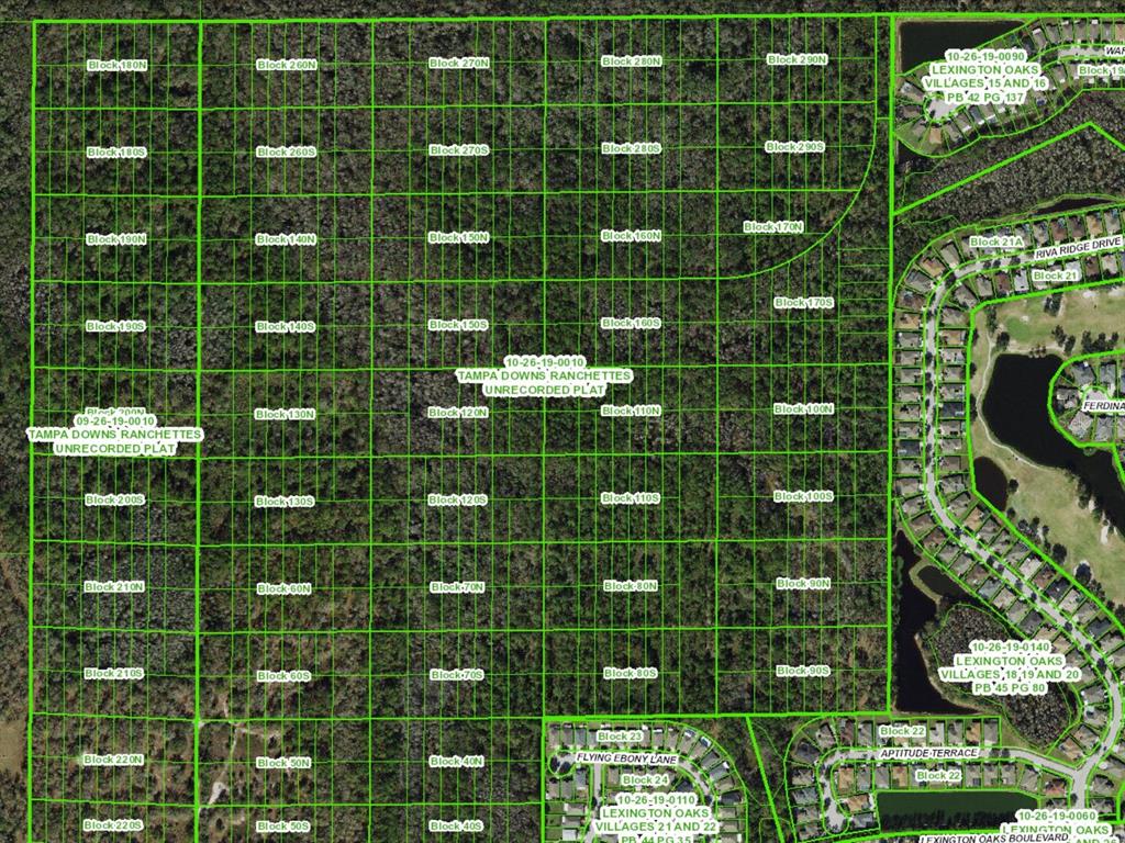 UNASSIGNED, WESLEY CHAPEL, FL — photo 4 of 28