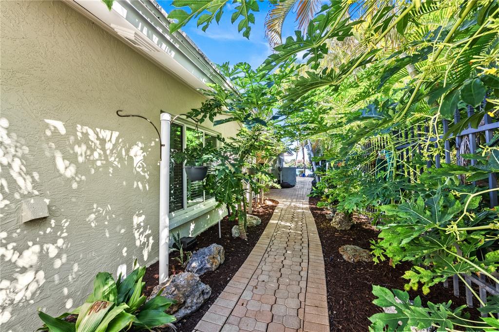 A paved walkway leads alongside a house exterior past lush green papaya trees and landscaping — 1320 MOONMIST DRIVE UNIT B-11, SARASOTA, FL