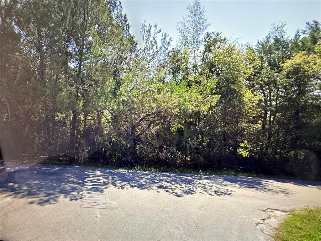 A paved road curves in front of a densely wooded, undeveloped lot — 112 COURT NW, OCALA, FL