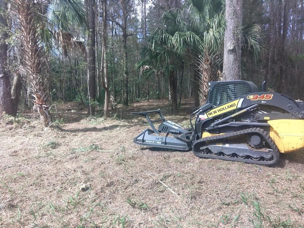 18954 COUNTY RD 329, MICANOPY, FL — photo 2 of 9