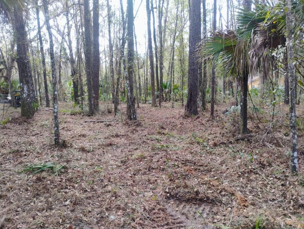 18954 COUNTY RD 329, MICANOPY, FL — photo 4 of 9