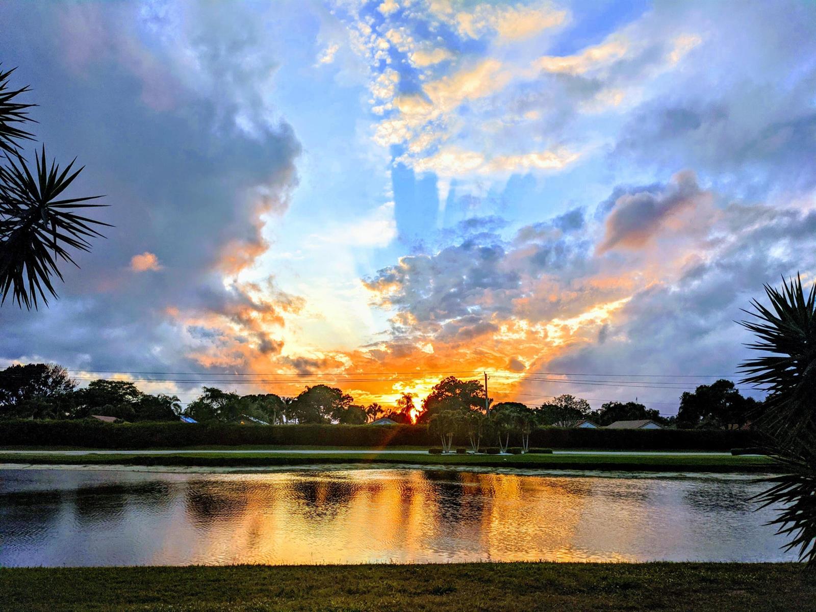 A sunset view over a calm pond with silhouetted palm fronds and distant trees — 5843 Northpointe Lane, Boynton Beach FL 33437, BOYNTON BEACH, FL